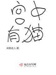 宫中有猫章节列表