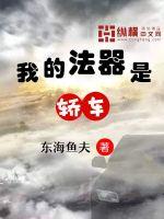 我的法器是轿车章节列表