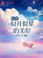你是似月似星的美好章节列表
