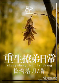 专职高手章节列表