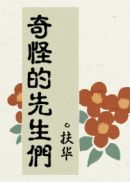 奇怪的先生们章节列表