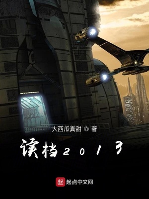 读档2013章节列表