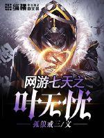 网游七天之叶无忧章节列表