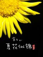 余生如夏花似锦章节列表