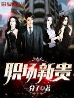 职场新贵章节列表