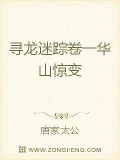 寻龙迷踪卷一华山惊变章节列表