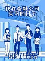 我在金融公司实习的日子章节列表