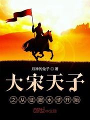 大宋天子之从征服水浒开始章节列表