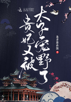 贵妃又被太子宠野了章节列表