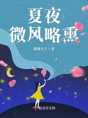 夏夜微风略熏章节列表