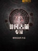 非凡古董专家章节列表