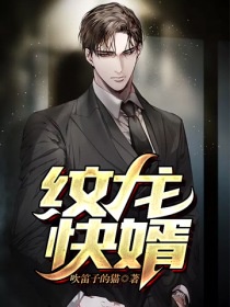 纹龙快婿章节列表