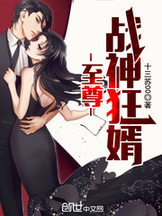 至尊战神狂婿章节列表