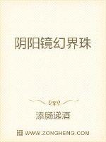 阴阳镜幻界珠章节列表