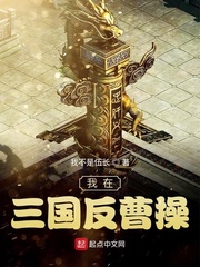 我在三国反曹操章节列表