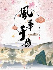 风华于晋章节列表