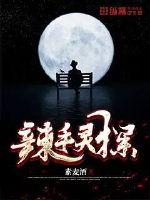 辣手灵探章节列表