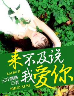 来不及说我爱你章节列表