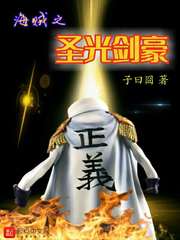 海贼之圣光剑豪章节列表