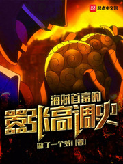 海贼首富的嚣张高调史章节列表