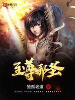 至尊邪圣章节列表