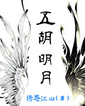 五胡明月章节列表