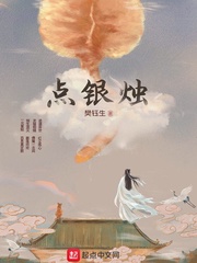 点银烛章节列表