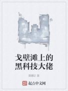 戈壁滩上的黑科技大佬章节列表