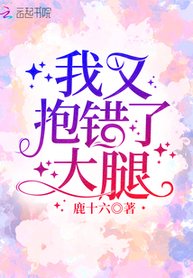 我又抱错了大腿章节列表