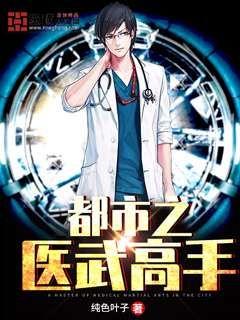 都市之医武高手章节列表