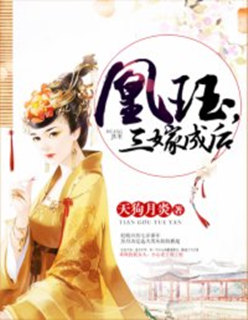 陆叶白风雪章节列表