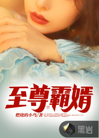 至尊霸婿章节列表