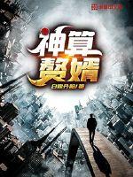 神算赘婿章节列表