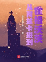 从阿兹卡班到霍格沃茨章节列表