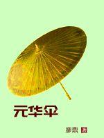 元华伞章节列表