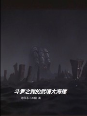 斗罗之我的武魂大海螺章节列表