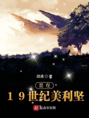 混在19世纪美利坚章节列表