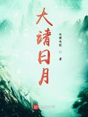大靖日月章节列表