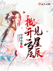 拨开云层见星辰章节列表