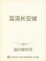 雪满长安城章节列表