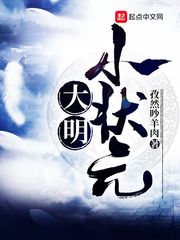 大明小状元章节列表