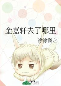 金嘉轩去了哪里章节列表