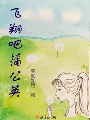 飞翔吧蒲公英章节列表