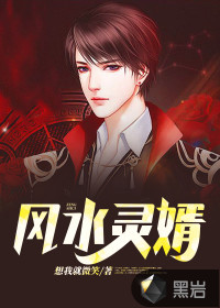 风水灵婿章节列表
