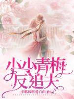 小小青梅反追夫章节列表