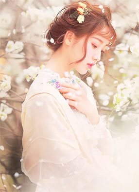 贵妃有心疾得宠着楚月秦恒章节列表