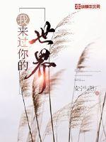 我来过你的世界章节列表