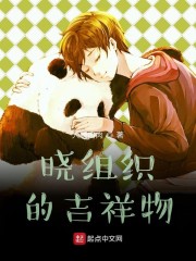 晓组织的吉祥物章节列表