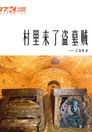 村里来了盗墓贼章节列表