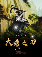 大唐之刃章节列表
